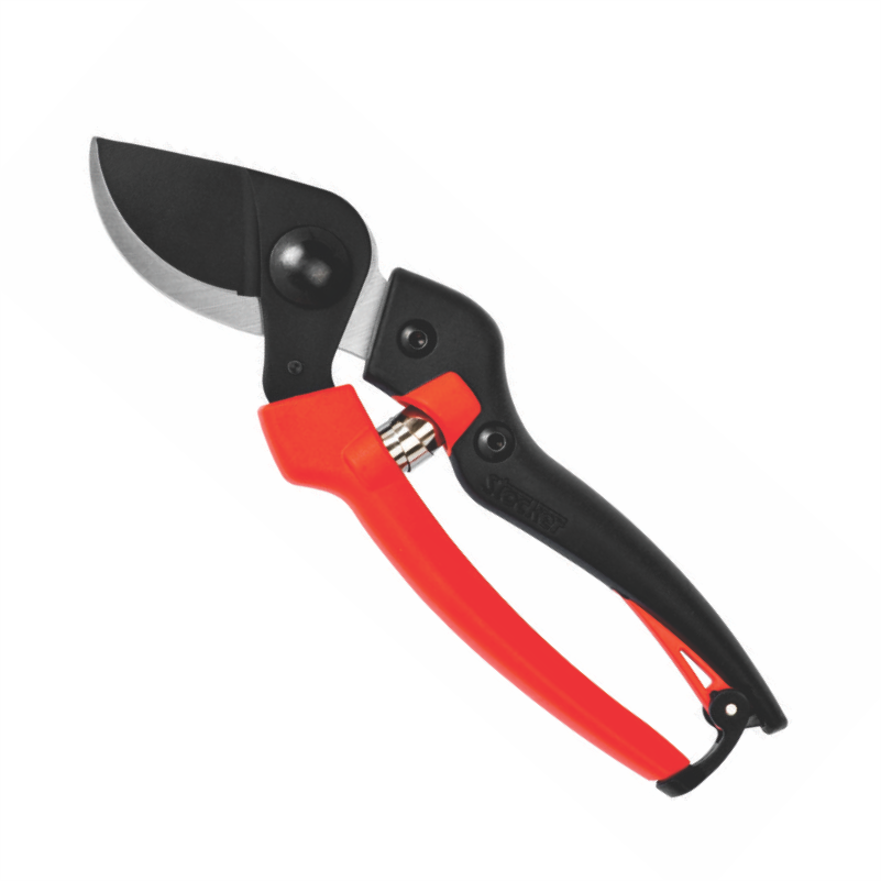 GERSHERE PER KRASITJE 19 KOD. 362