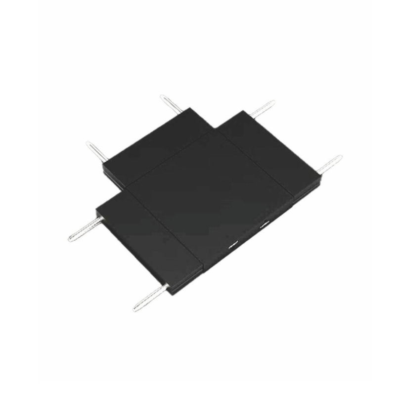 LIDHESE MAGNETIKE T