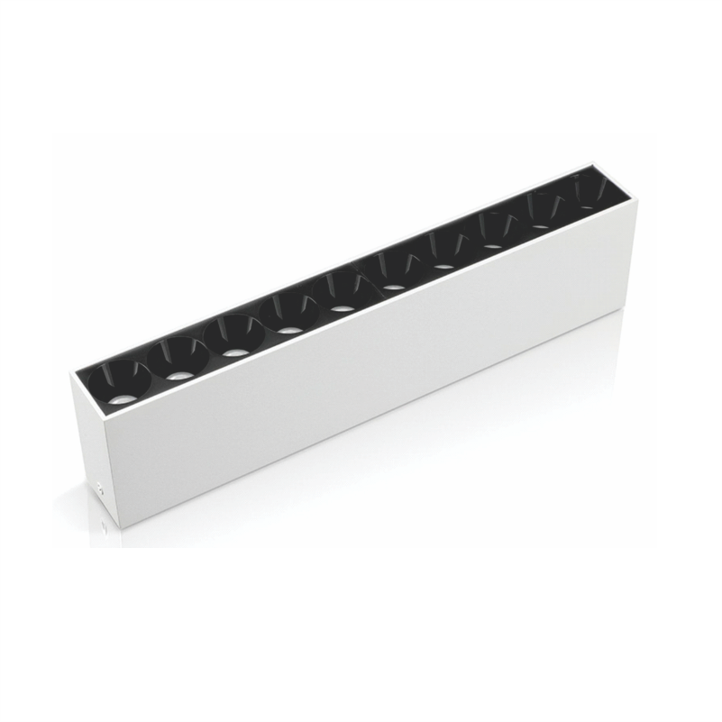 DRITE LINEARE OG CB-DLMX210-WH 220V 10*2W 4000K