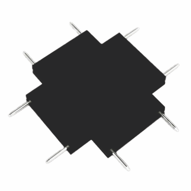 LIDHESE MAGNETIKE X