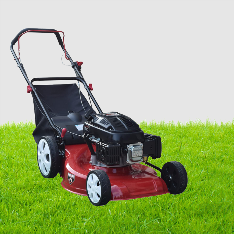 KOSITESE ME DERIVATE VETLEVIZESE 41CM AG103-1