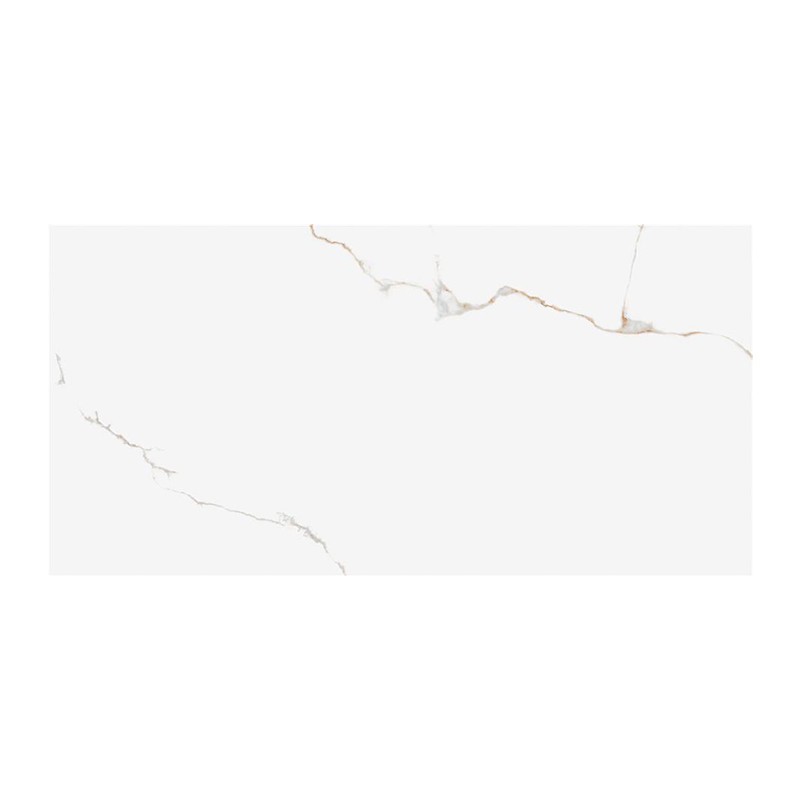 GRANIT P.E.THUILE WHITE SAT.60X120 RECT.1A STN